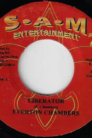 Direct From Manufacturer Liberator / Ver