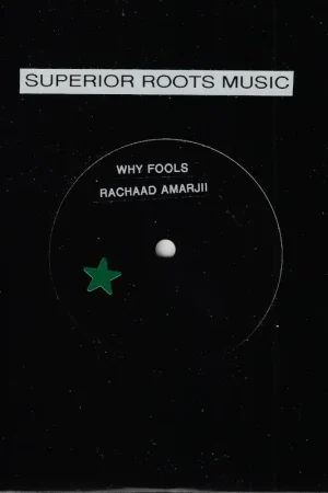 Warranty Included Why Fools / Why Dub