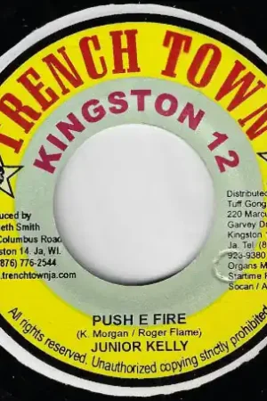 Money Back Guarantee Push E Fire / Federal Riddim