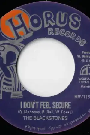 I Dont Feel Secure / Dub Best Price
