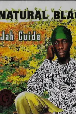 Best Choice Jah Guide
