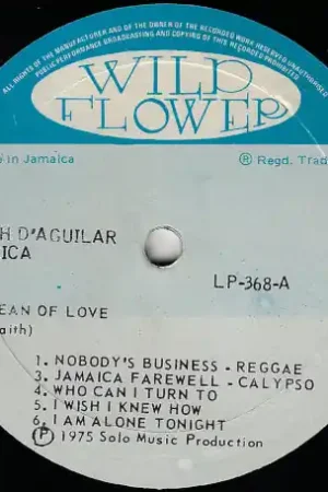 Jamaica Bargain