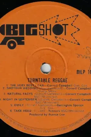 Last Chance Turntable Reggae
