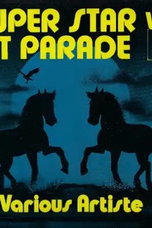 Super Stars Hit Parade Vol 5 Money Back Guarantee