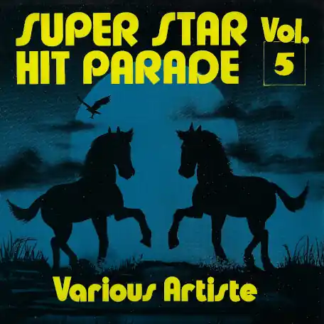 Super Stars Hit Parade Vol 5 Money Back Guarantee