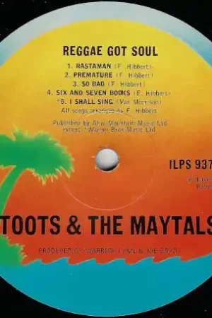 Reggae Got Soul Last Chance