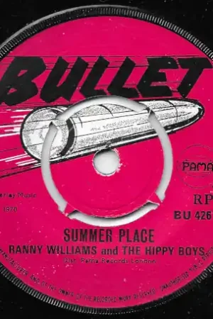 Place Order Summer Place / Big Boy