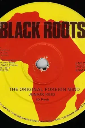 While Supplies Last The Original Foreign Mind / Ver / Human Nature / Ver