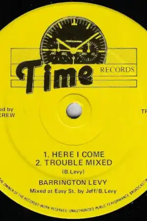 Here I Come / Trouble Mixed / Run Come Dub / Rub A Dub Genuine