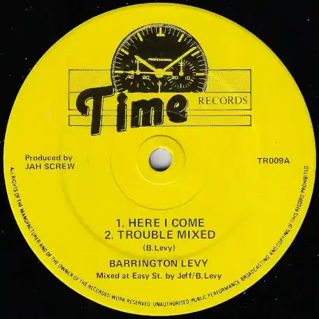 Here I Come / Trouble Mixed / Run Come Dub / Rub A Dub Genuine