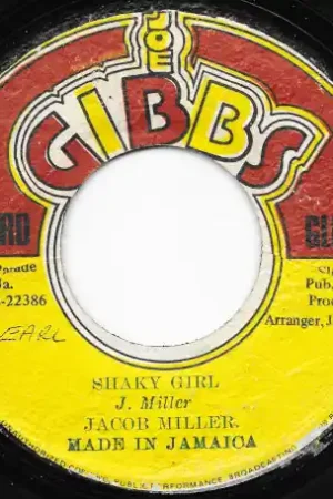 Flash Sale Shaky Girl / Ver