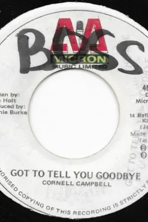 Trusted Brand Got To Tell You Goodbye / Ver