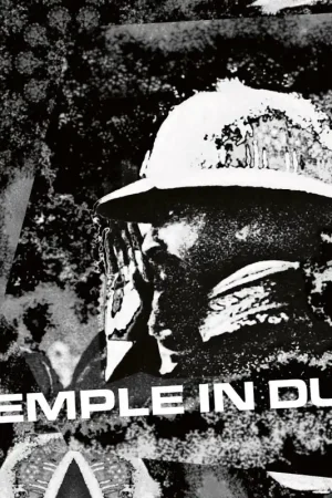 Wholesale Temple In Dub