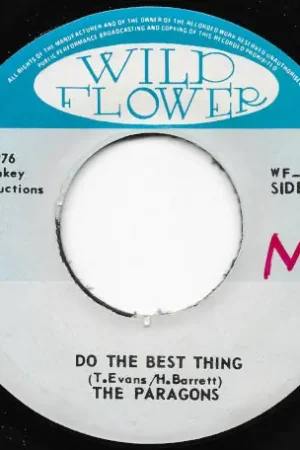 Certified Do The Best Thing / Ver