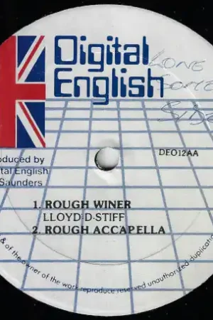 Mix Up / Digital Dub / Rough Winer / Rough Acapella Affordable