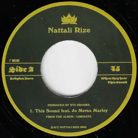 This Sound / This Sound Instrumental Bulk Order