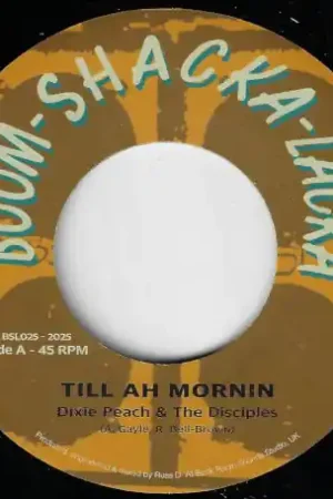 Wholesale Till Ah Mornin / Morning Version