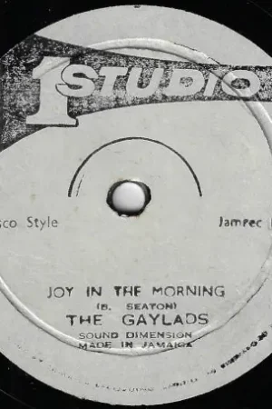Cheap Joy In The Morning / I'll Give It To You Boy