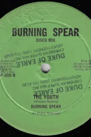 Top Pick The Sun / The Youth