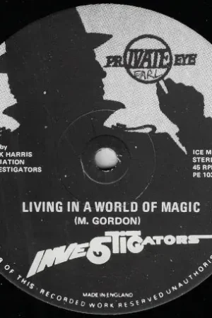 Professional Grade Living In A World Of Magic / Living In A World Of Dub
