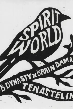 Premium Spirit World / Dub World
