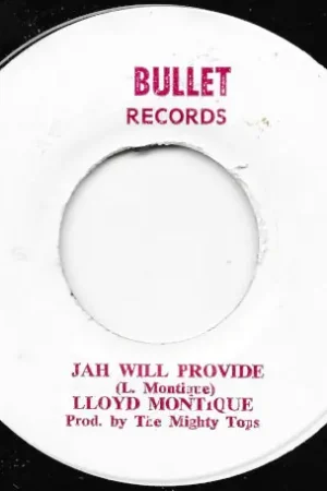 Final Sale Jah Will Provide / Provide In Dub