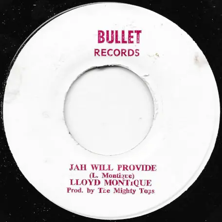 Final Sale Jah Will Provide / Provide In Dub