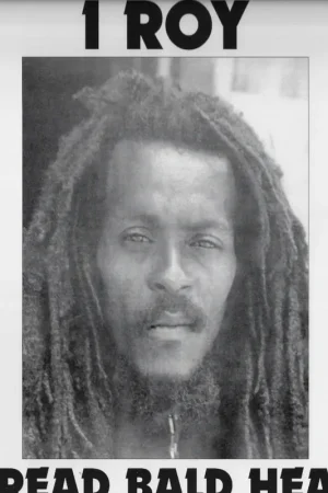 Dread Bald Head Low Price