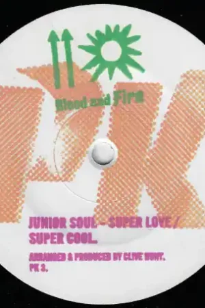 Super Love / Super Cool / Darker Than Blue / Instrumental Flash Sale