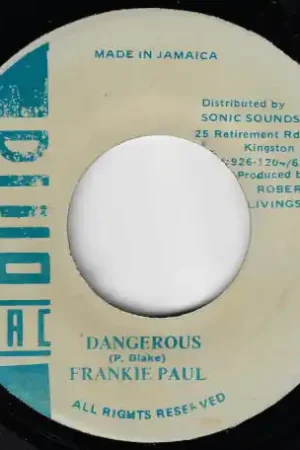 Dangerous / Ver Budget
