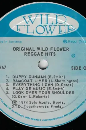 Original Reggae Hits Buy Today