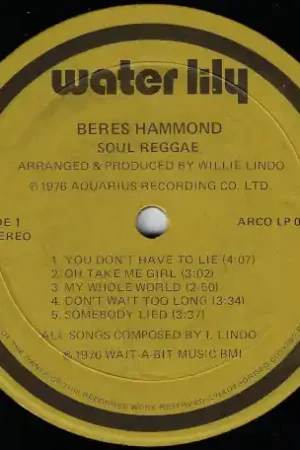 Soul Reggae Best Choice