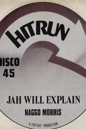 Get Yours Jah Will Explain / Wicked Feel It
