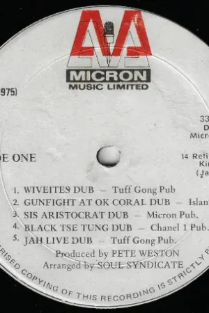 Free Shipping Rasta Dub '77