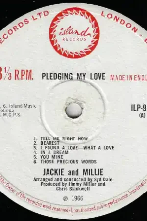 Big Sale Pledging My Love