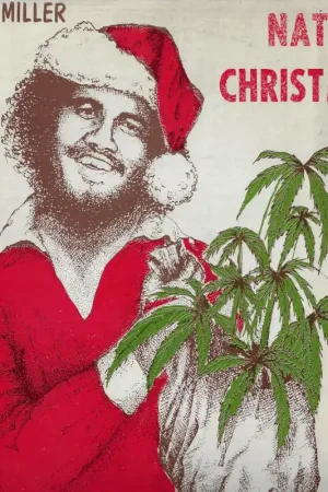 Natty Christmas New Arrival