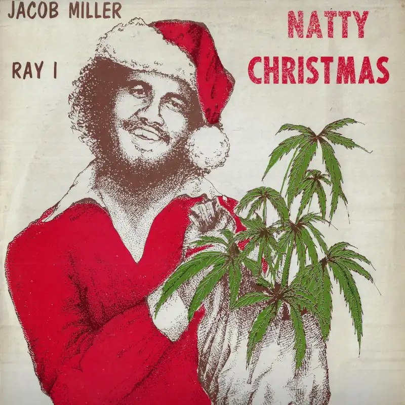 Natty Christmas New Arrival