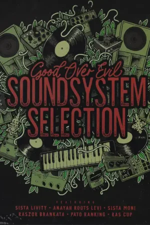 Sound System Selection Professional Grade