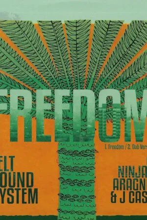 Big Sale Freedom / Dub Ver / Mind In The Mountains / Dub In The City