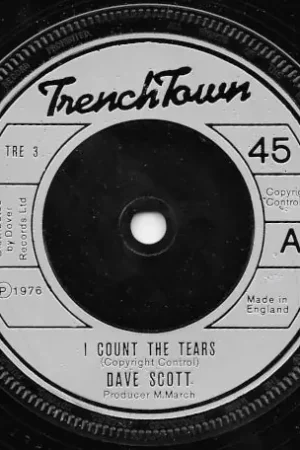 Final Sale I Count The Tears / Count The Skank