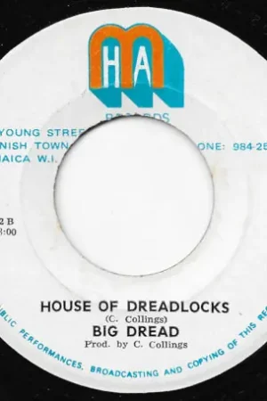 House Of Dreadlocks / Please Come Home Wholesale