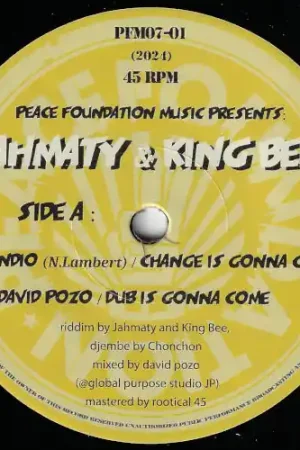 Budget Change Is Gonna Come / Dub Is Gonna Come