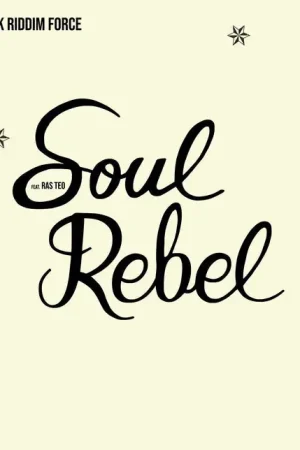 Fast Shipping Soul Rebel In Dub