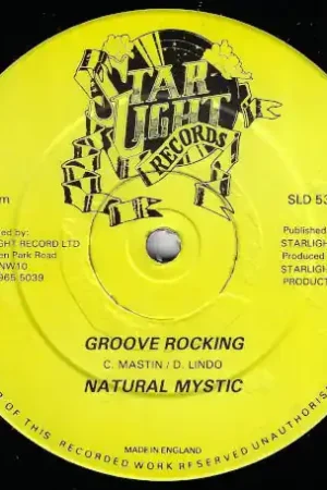 Final Sale Groove Rocking / Rocking Dub