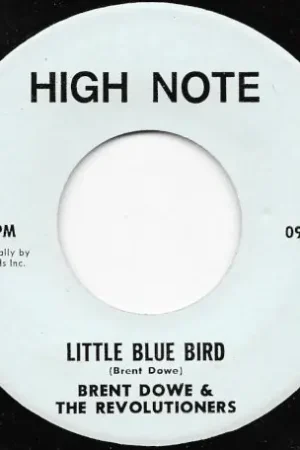 Luxury Little Blue Bird / Bird Dub