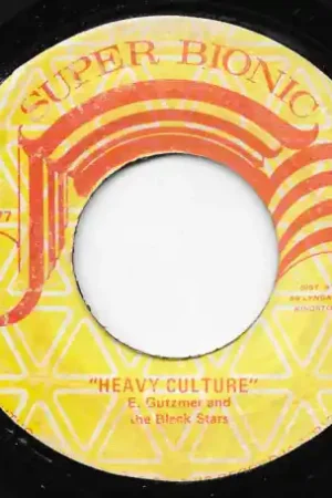Buy Direct Heavy Culture / Culture Dub