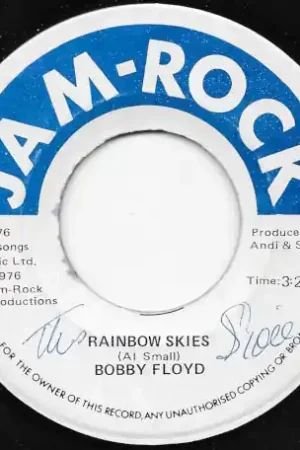 Limited Time Rainbow Skies / Ver