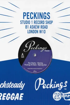 Super Sale Warning / Warning Dub / Up Ye Mighty Race / Worries In The Dance