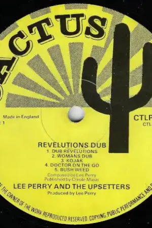 Revolution Dub Premium