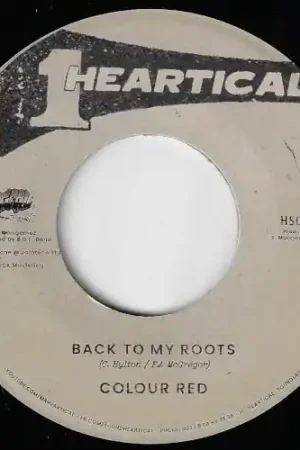 Back To My Roots / Jah Never Fail You Top Rated